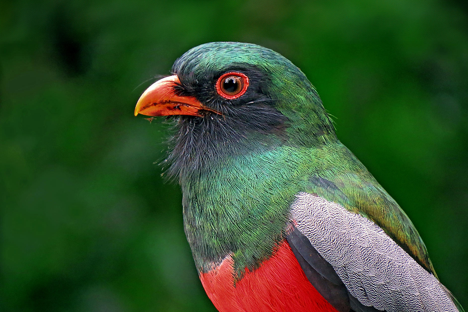 Fotoreise_Fotoworkshop_Costa_Rica053_