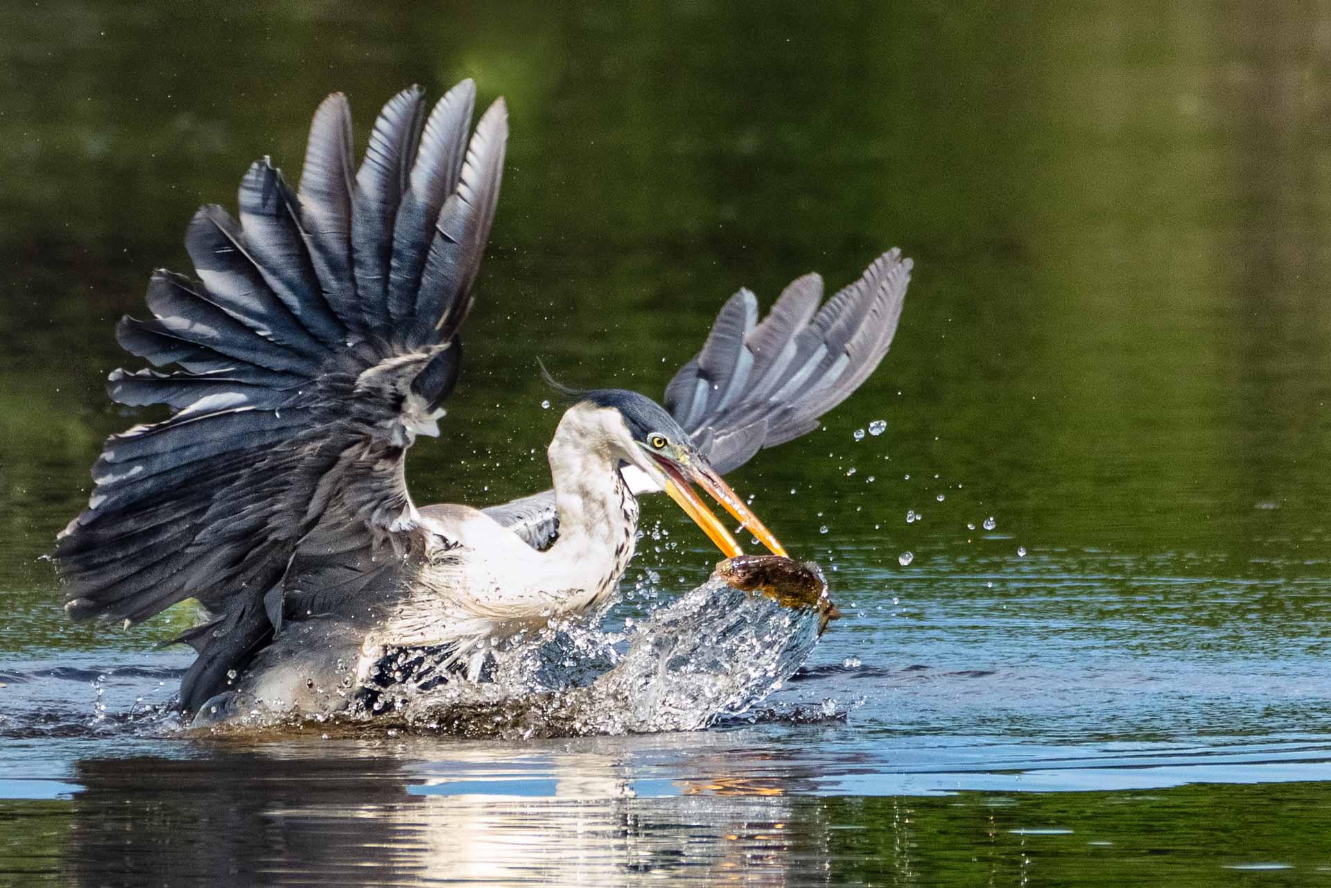 Fotoreise_Fotoworkshop_Costa_Rica057_
