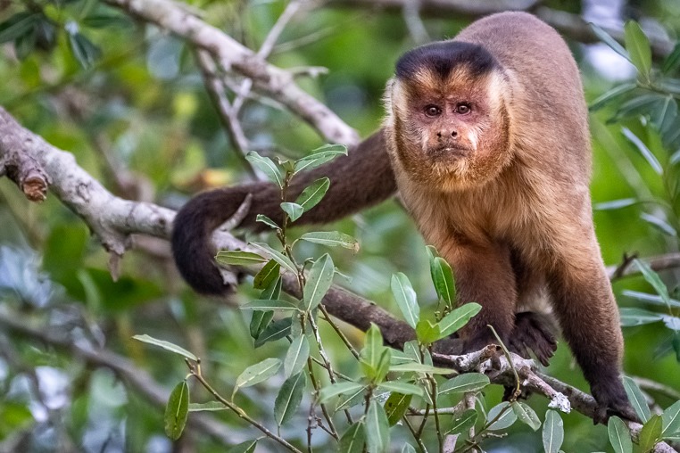 Fotoreise_Fotoworkshop_Costa_Rica061_