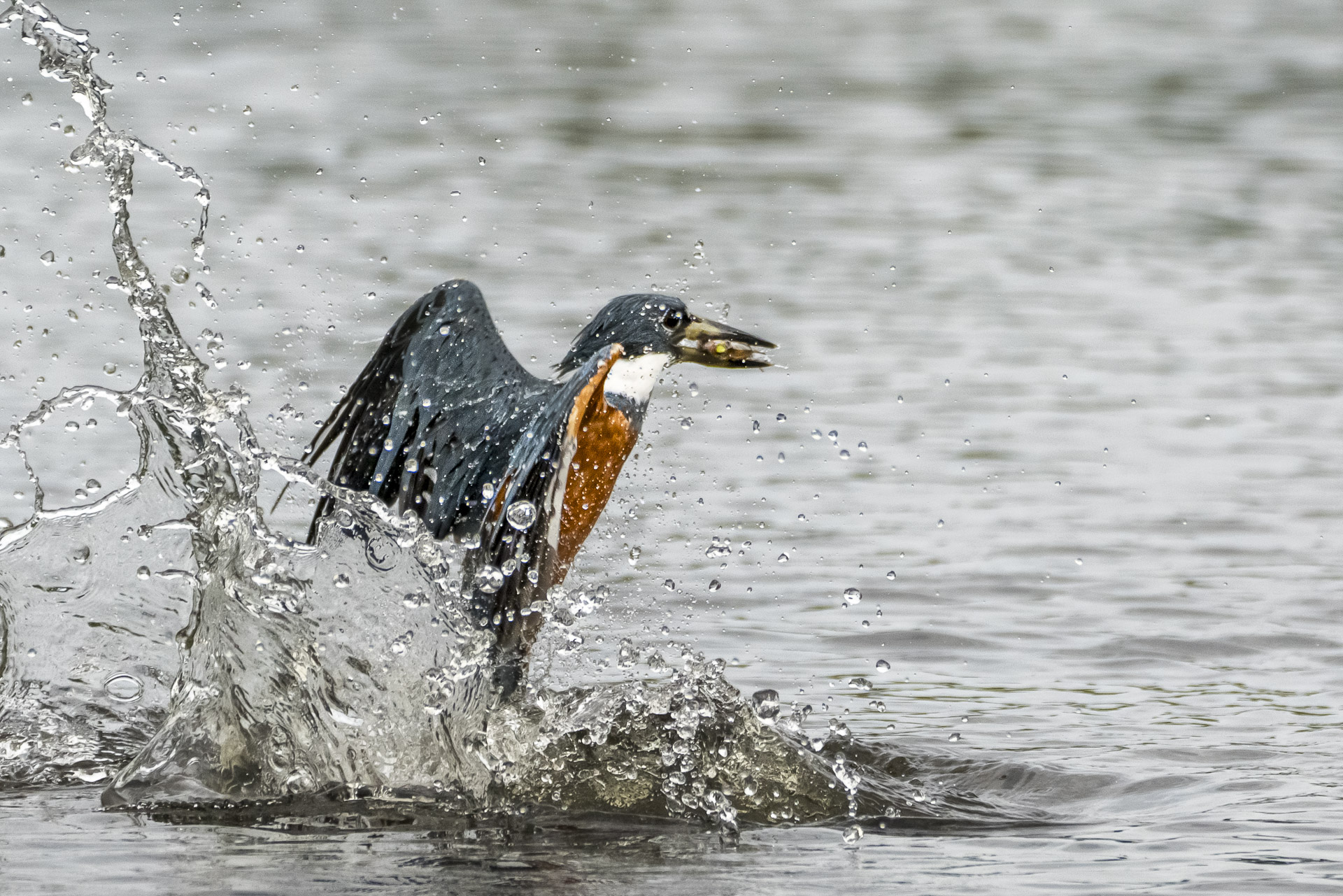 Fotoreise_Fotoworkshop_Costa_Rica069_