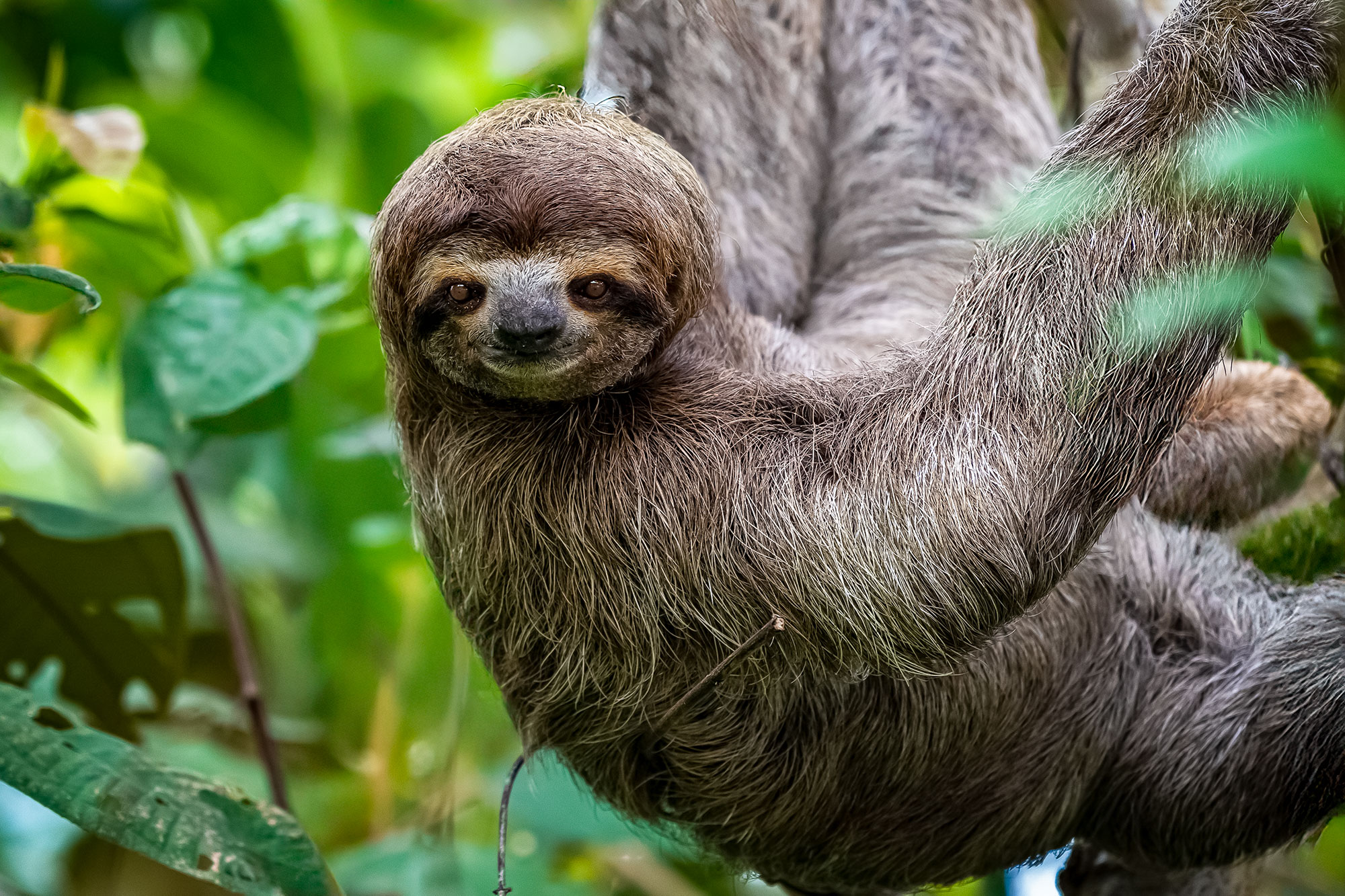 Fotoreise_Fotoworkshop_Costa_Rica074_