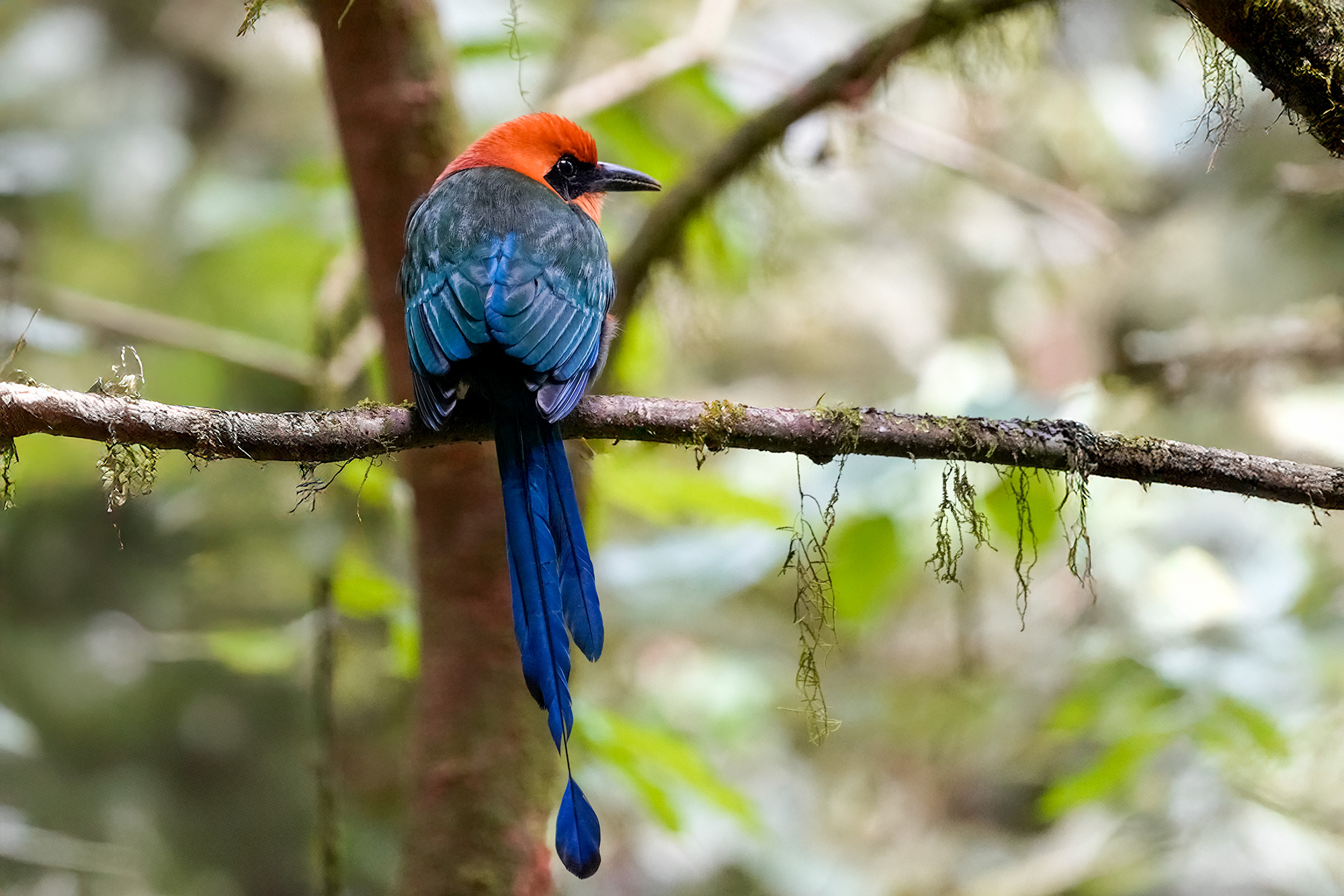 Fotoreise_Fotoworkshop_Costa_Rica079_