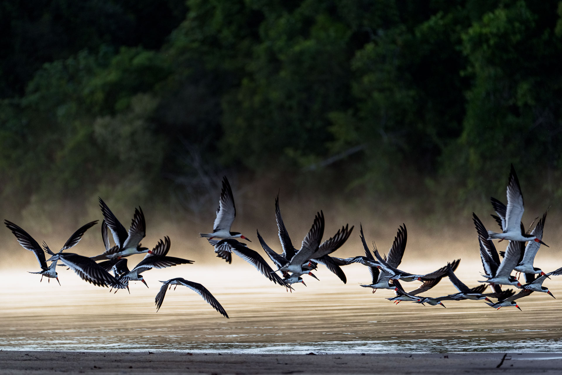 Fotoreise_Fotoworkshop_Costa_Rica090_