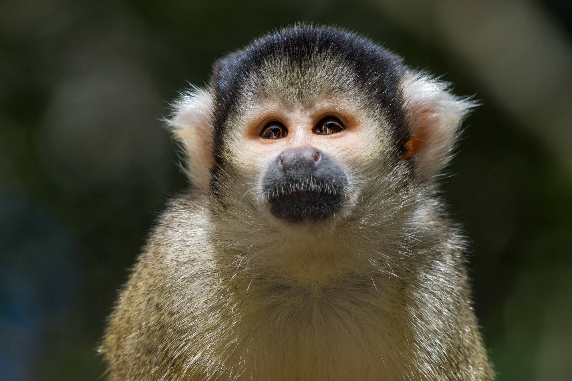 Fotoreise_Fotoworkshop_Costa_Rica106_