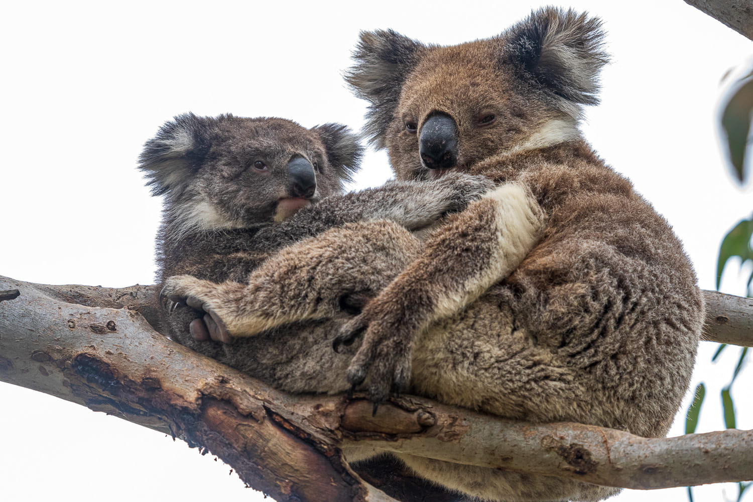 Australien_Fotoreise_505_