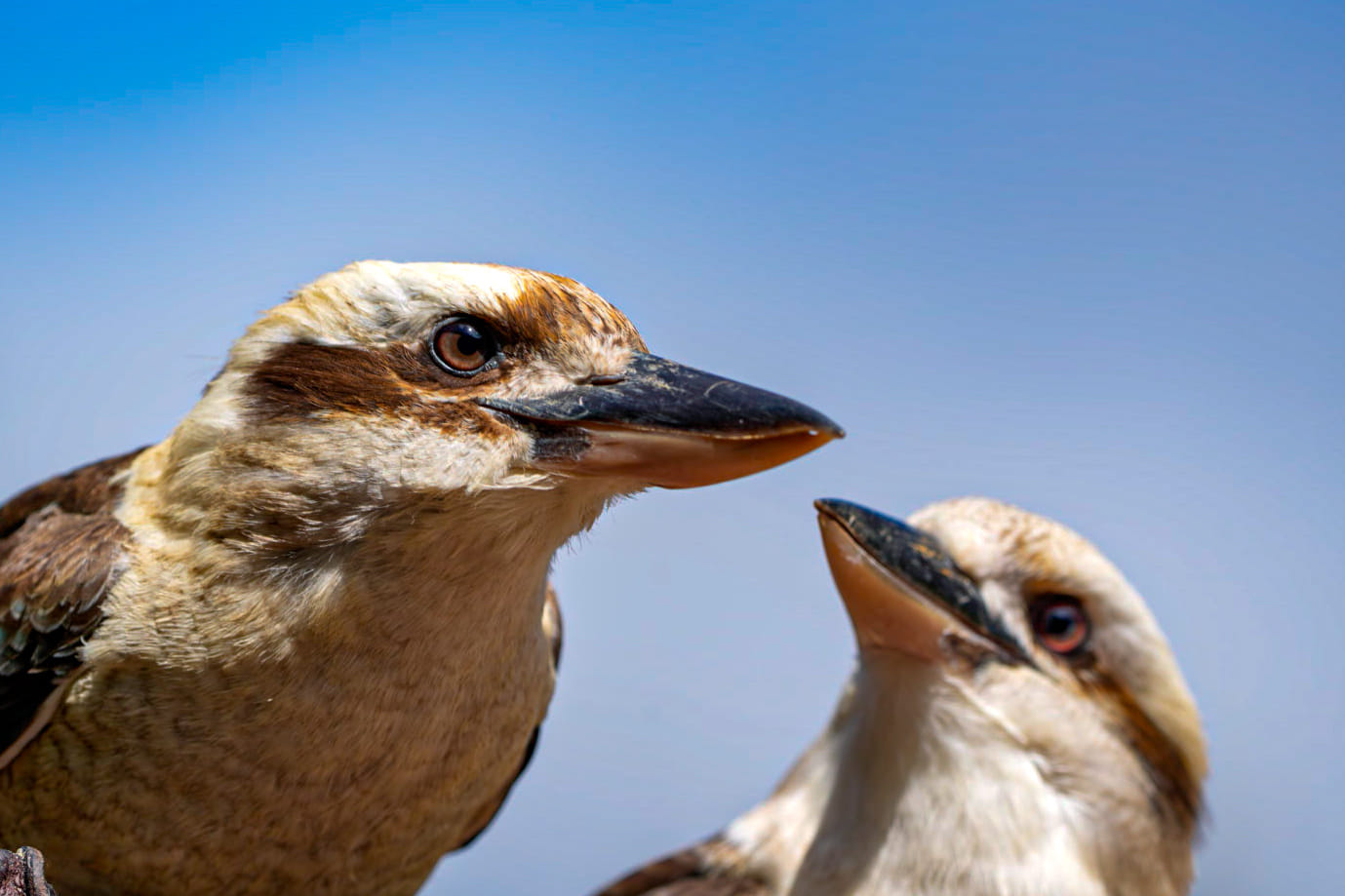 Australien_Fotoreise_536_