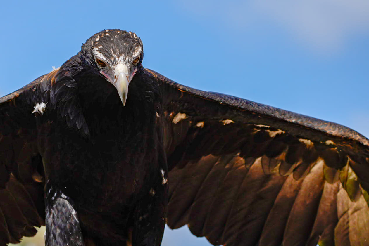 Australien_Fotoreise_540_