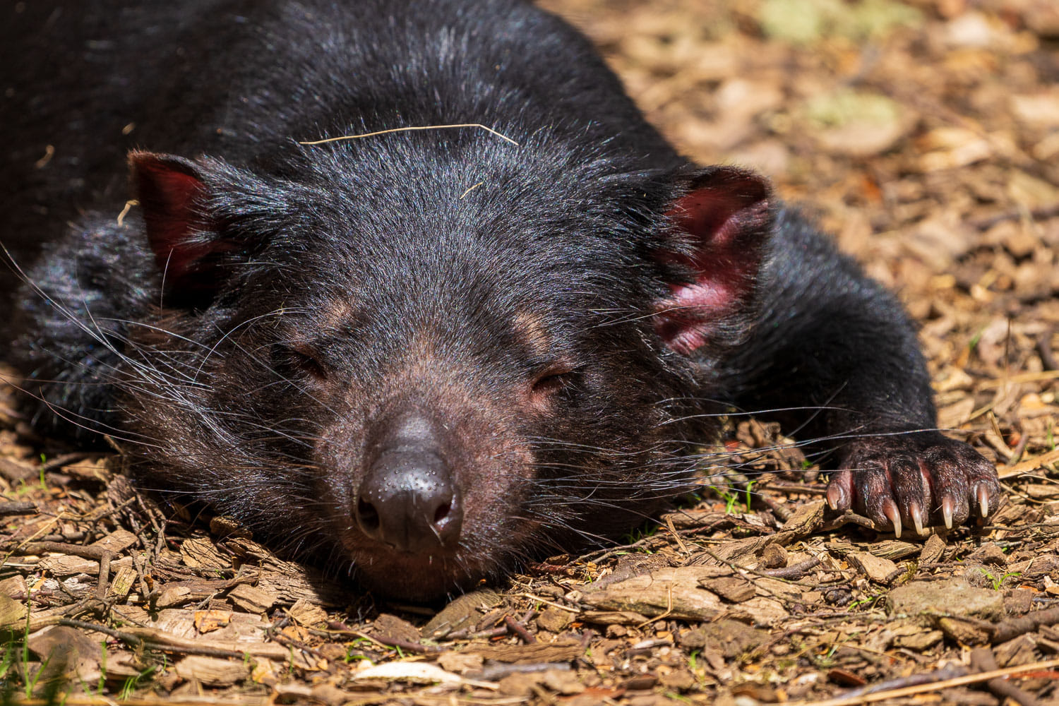 Australien_Fotoreise_542_