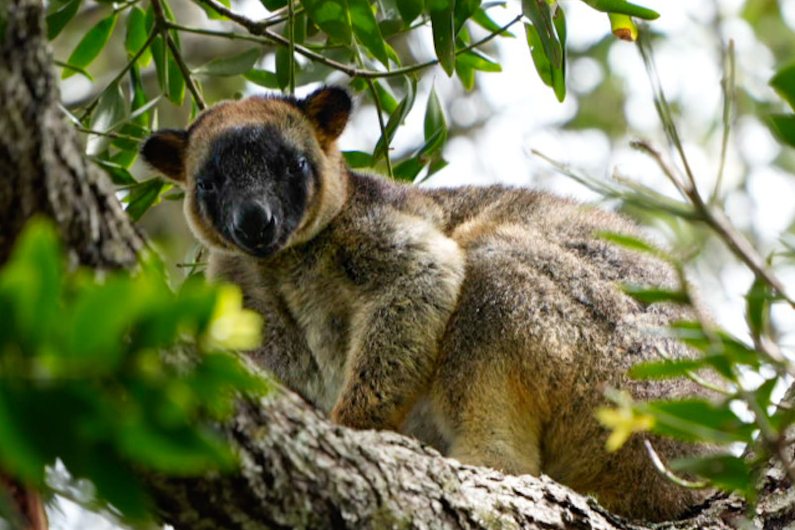 Australien_Fotoreise_547_