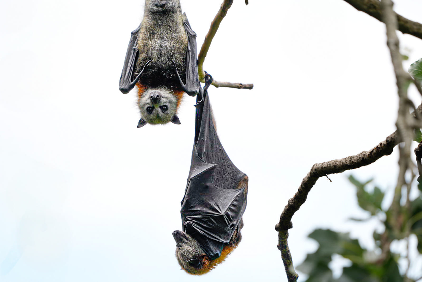 Australien_Fotoreise_561_