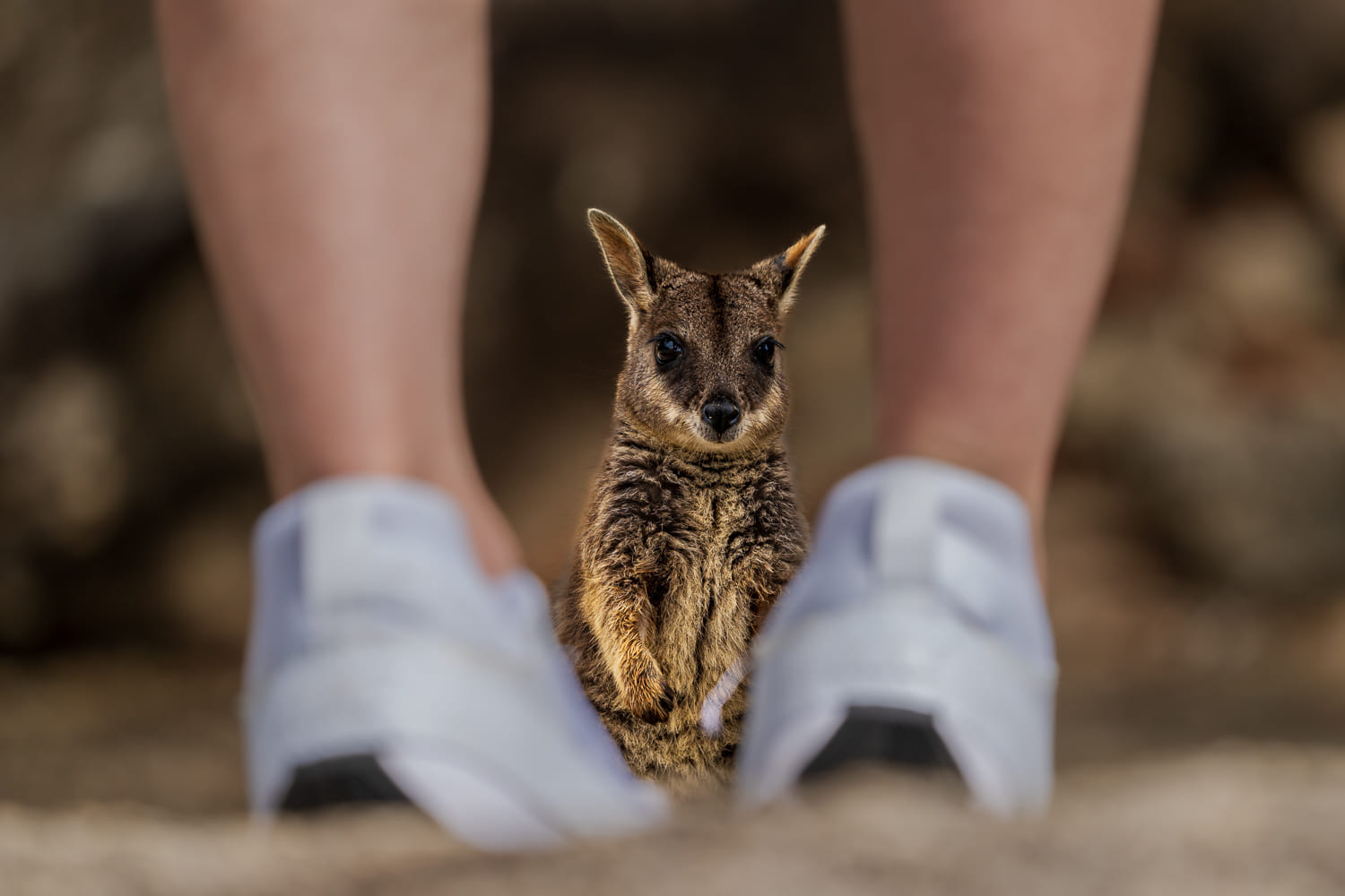 Australien_Fotoreise_567_