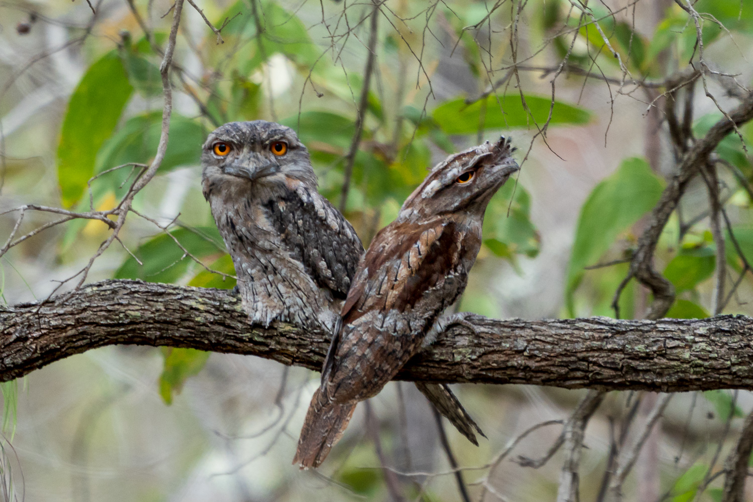 Australien_Fotoreise_585_