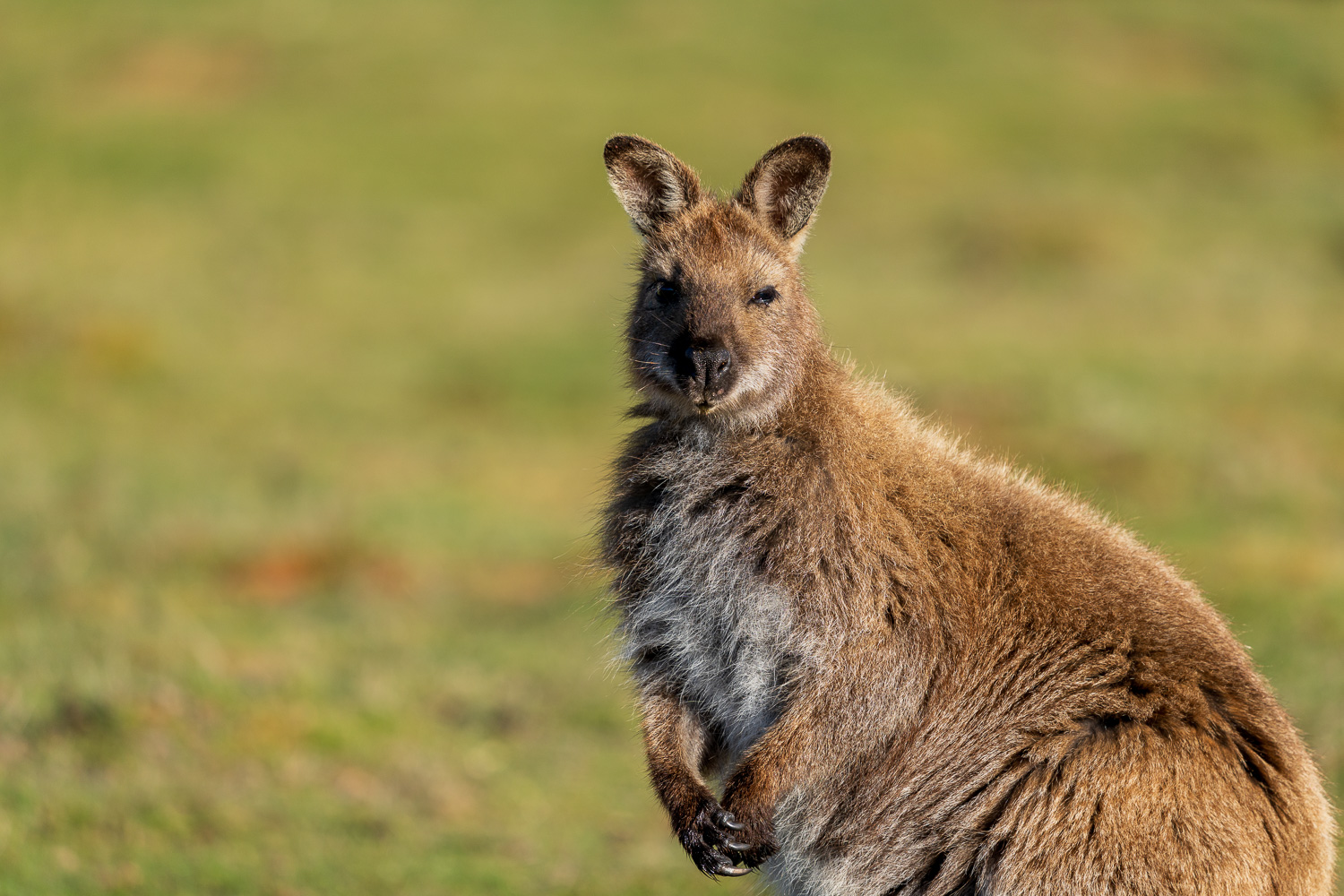 Australien_Fotoreise_611_