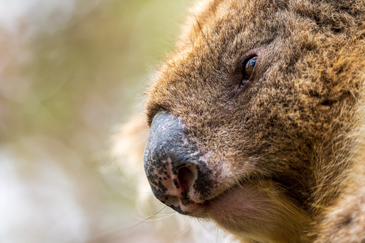 Australien_Fotoreise_619_