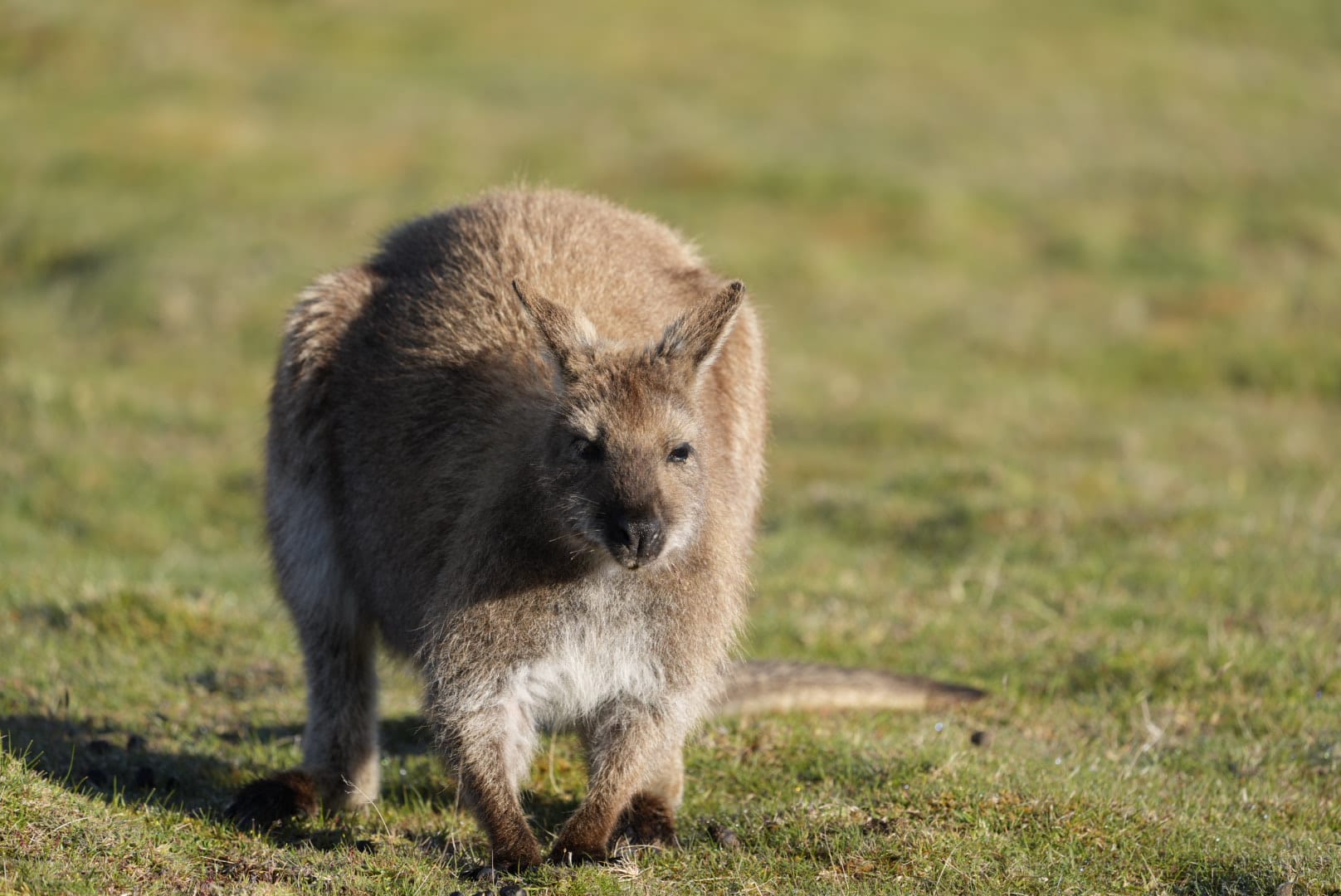 Australien_Fotoreise_620_