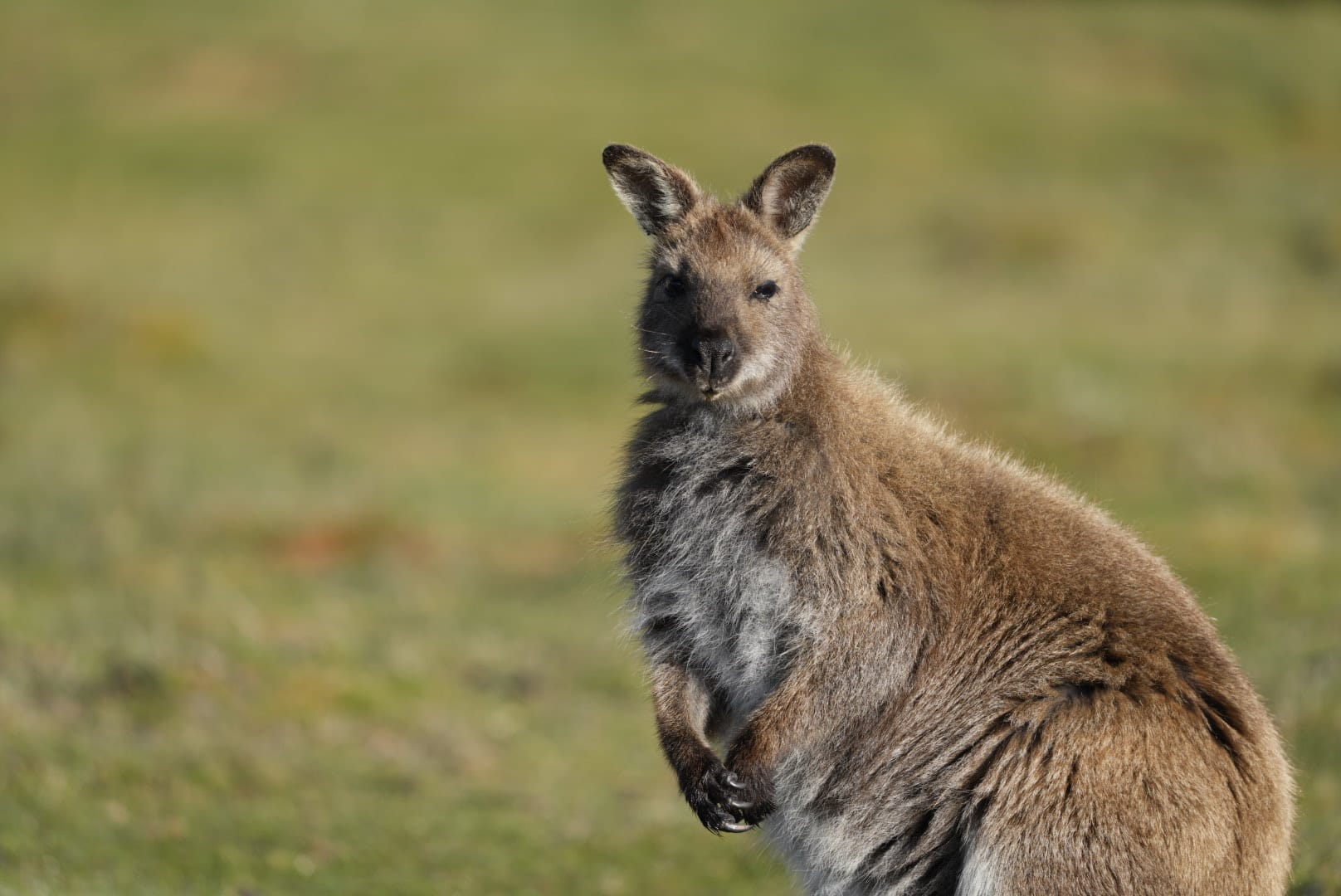 Australien_Fotoreise_640_