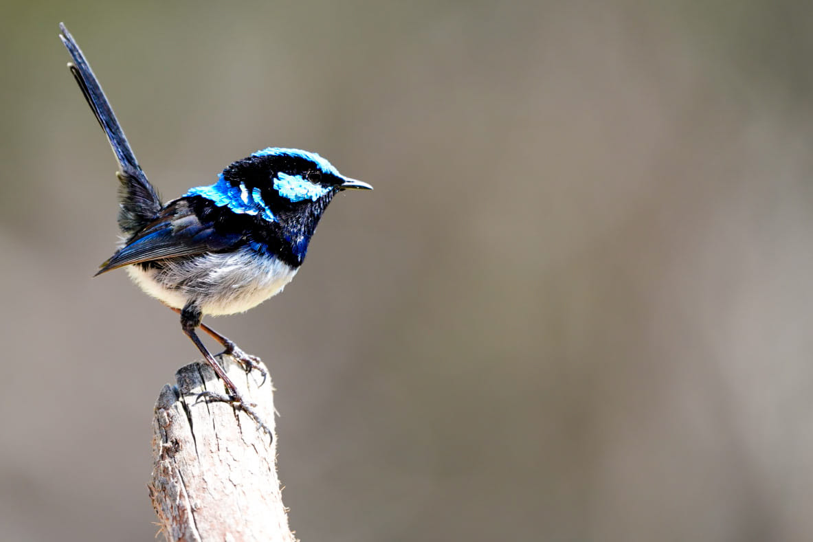 Australien_Fotoreise_641_