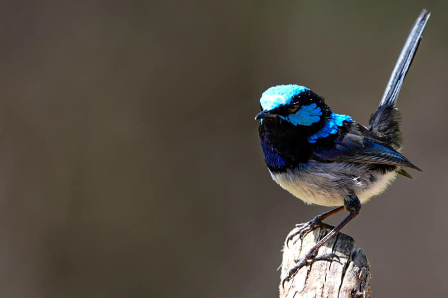 Australien_Fotoreise_642_