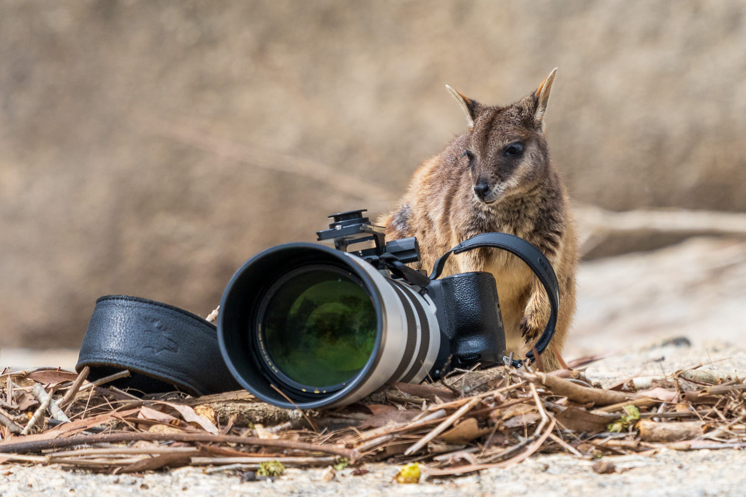 Australien_Fotoreise_646_