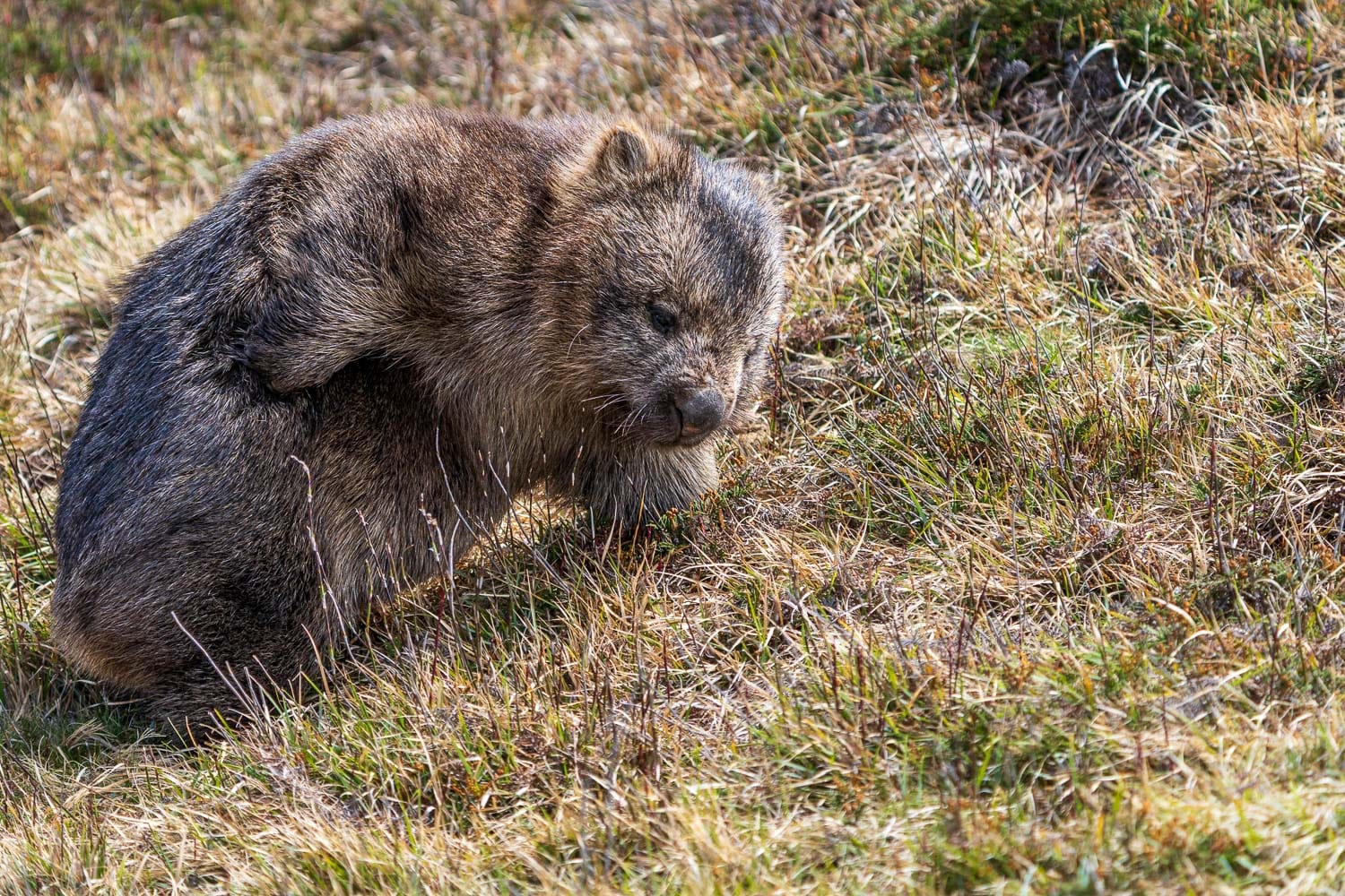 Australien_Fotoreise_659_