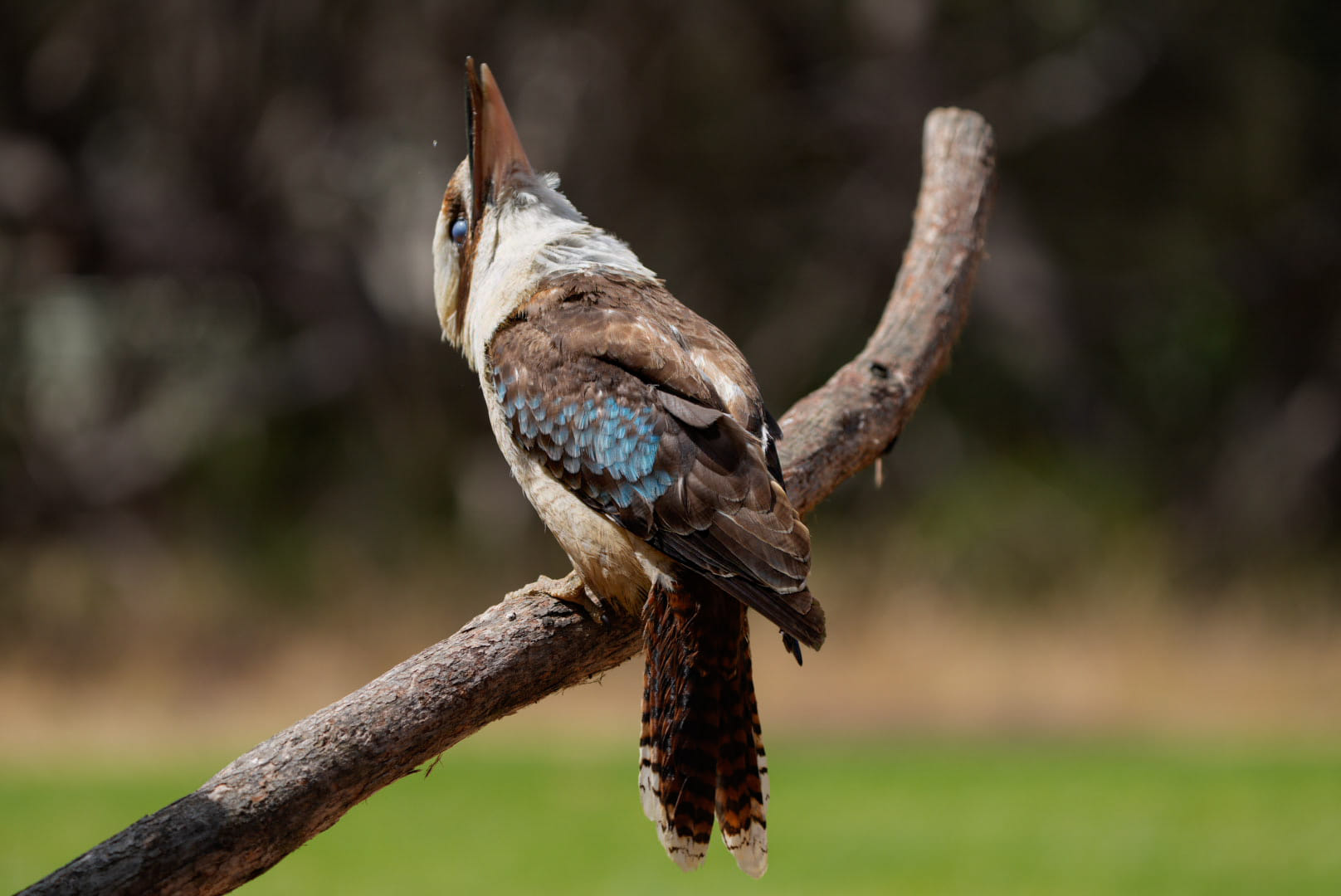 Australien_Fotoreise_672_