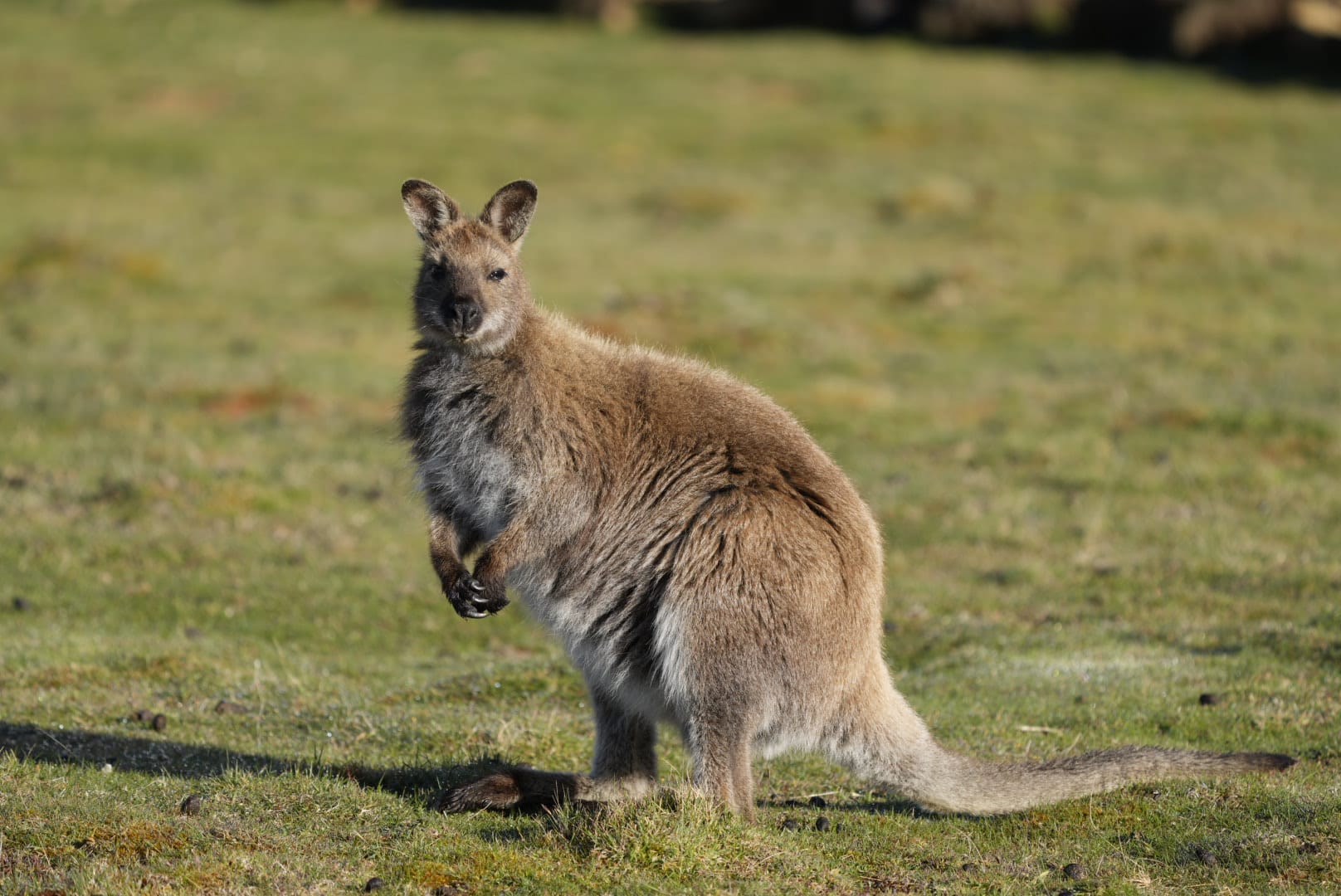 Australien_Fotoreise_675_