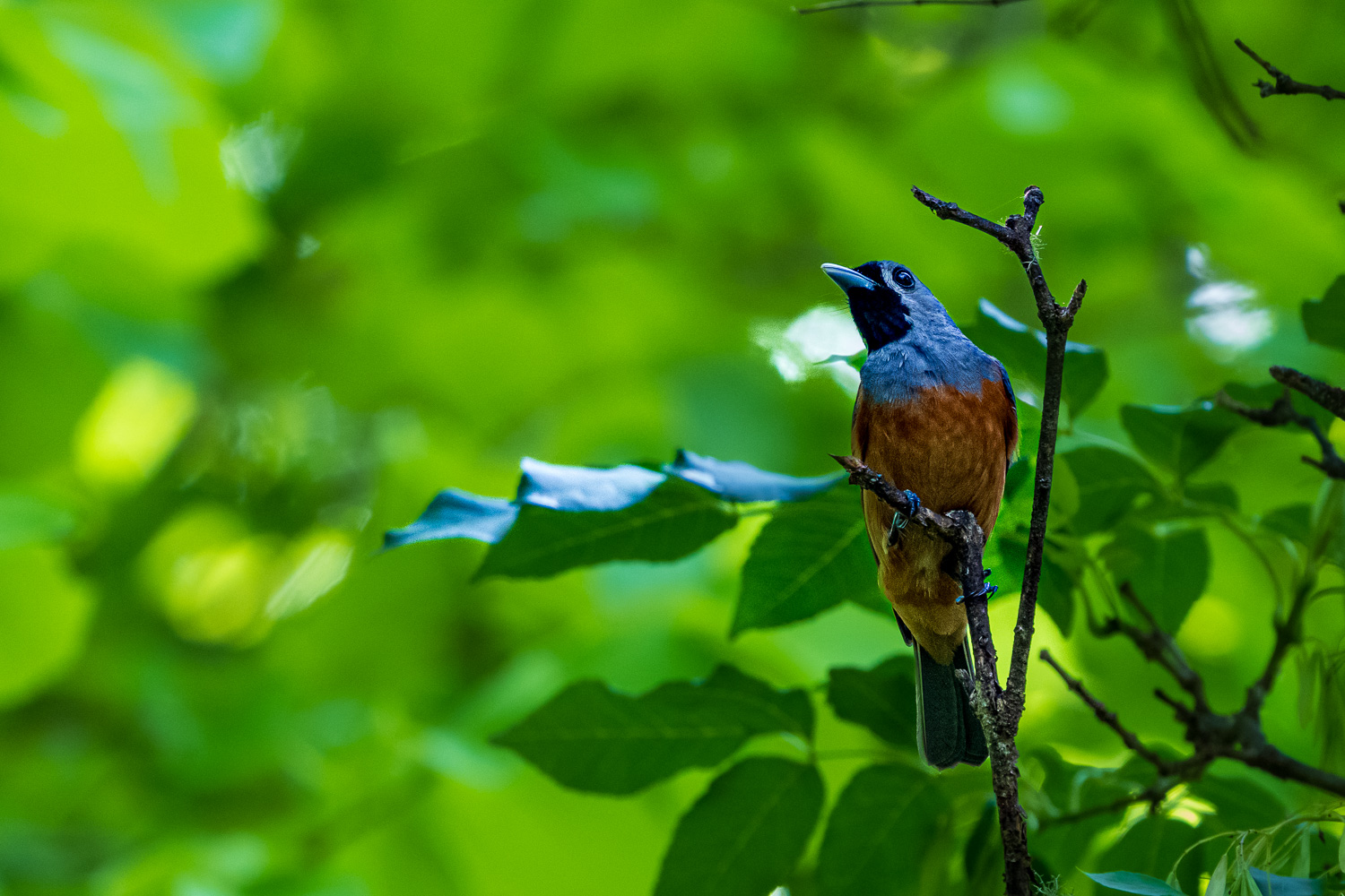 Australien_Fotoreise_678_