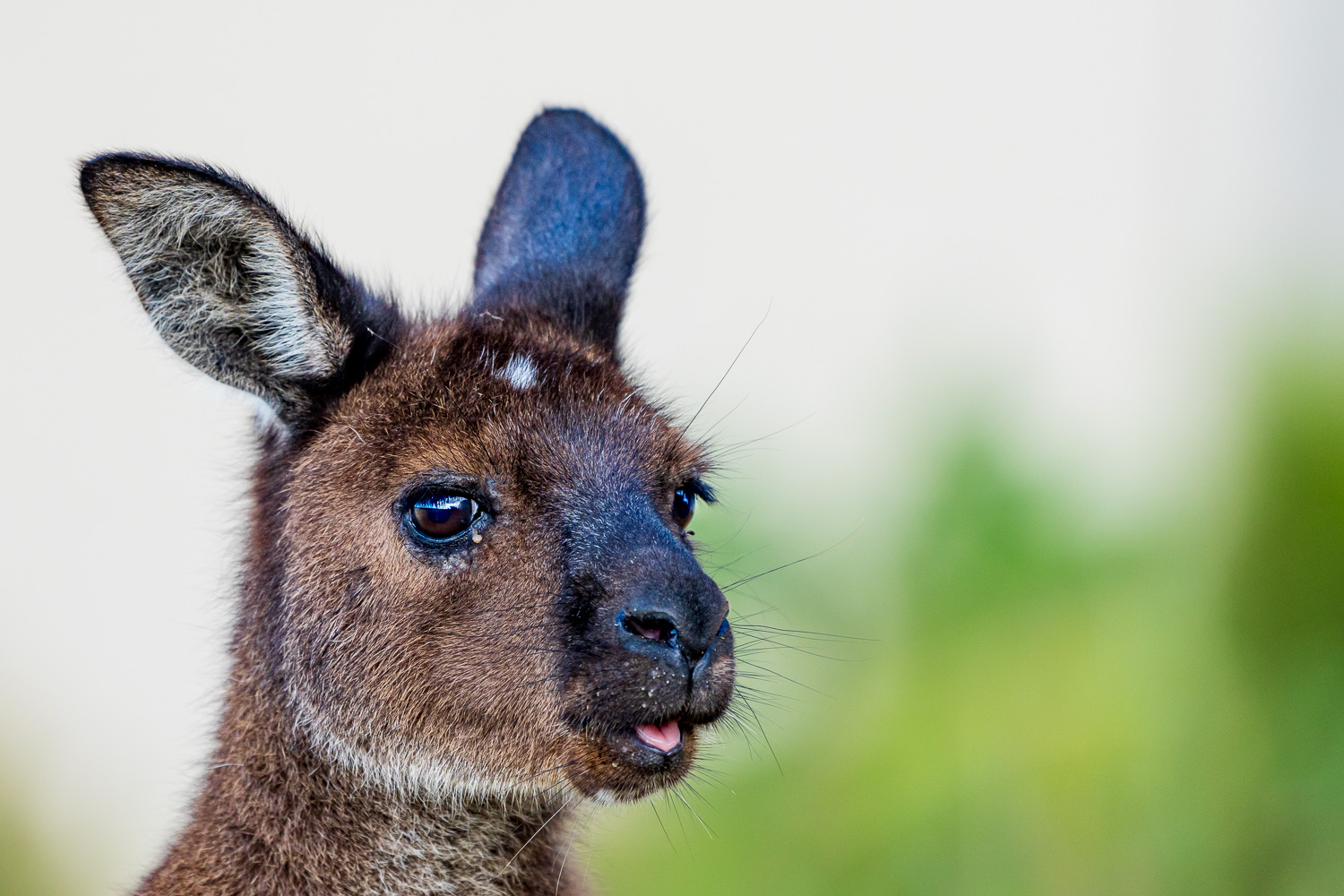 Australien_Fotoreise_700_