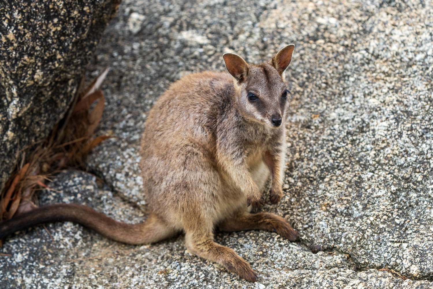 Australien_Fotoreise_703_