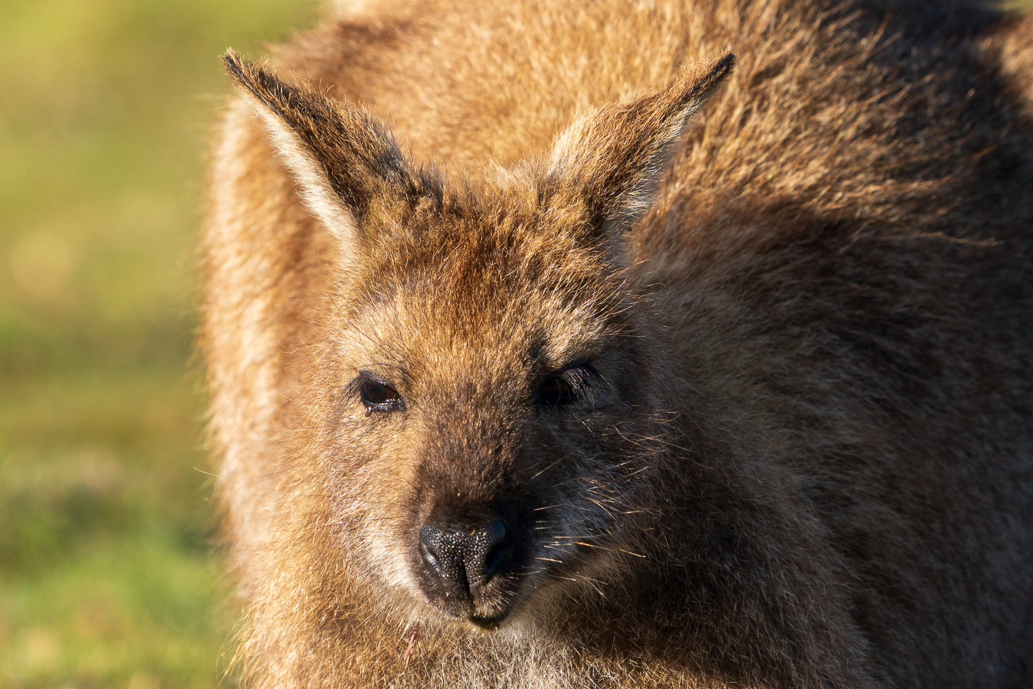 Australien_Fotoreise_705_