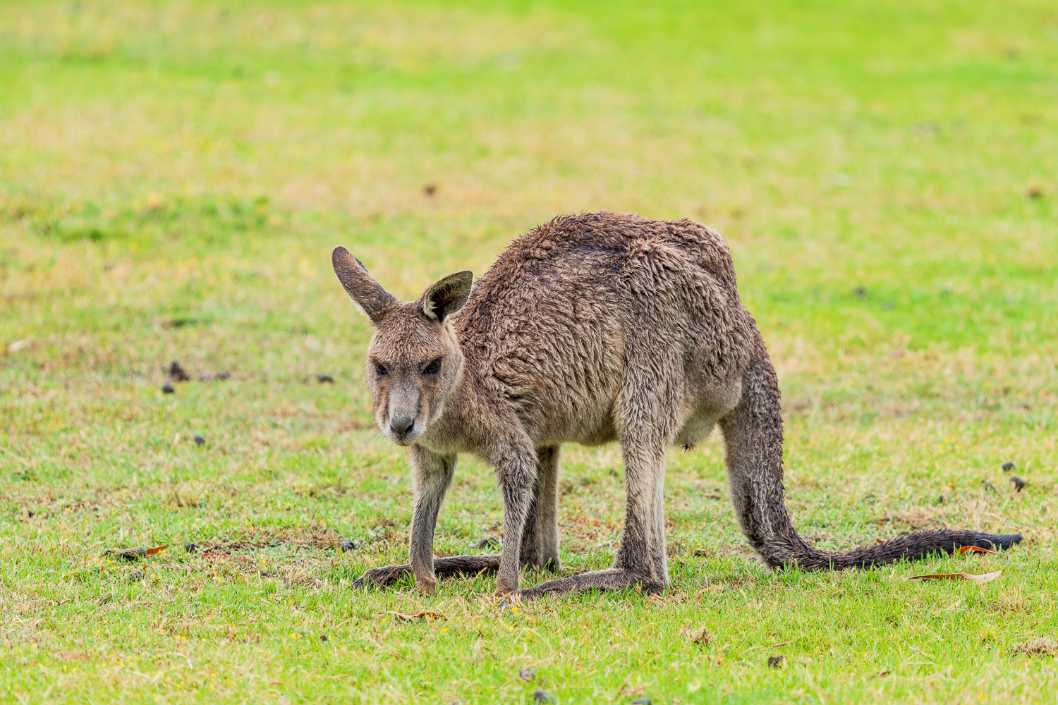 Australien_Fotoreise_706_