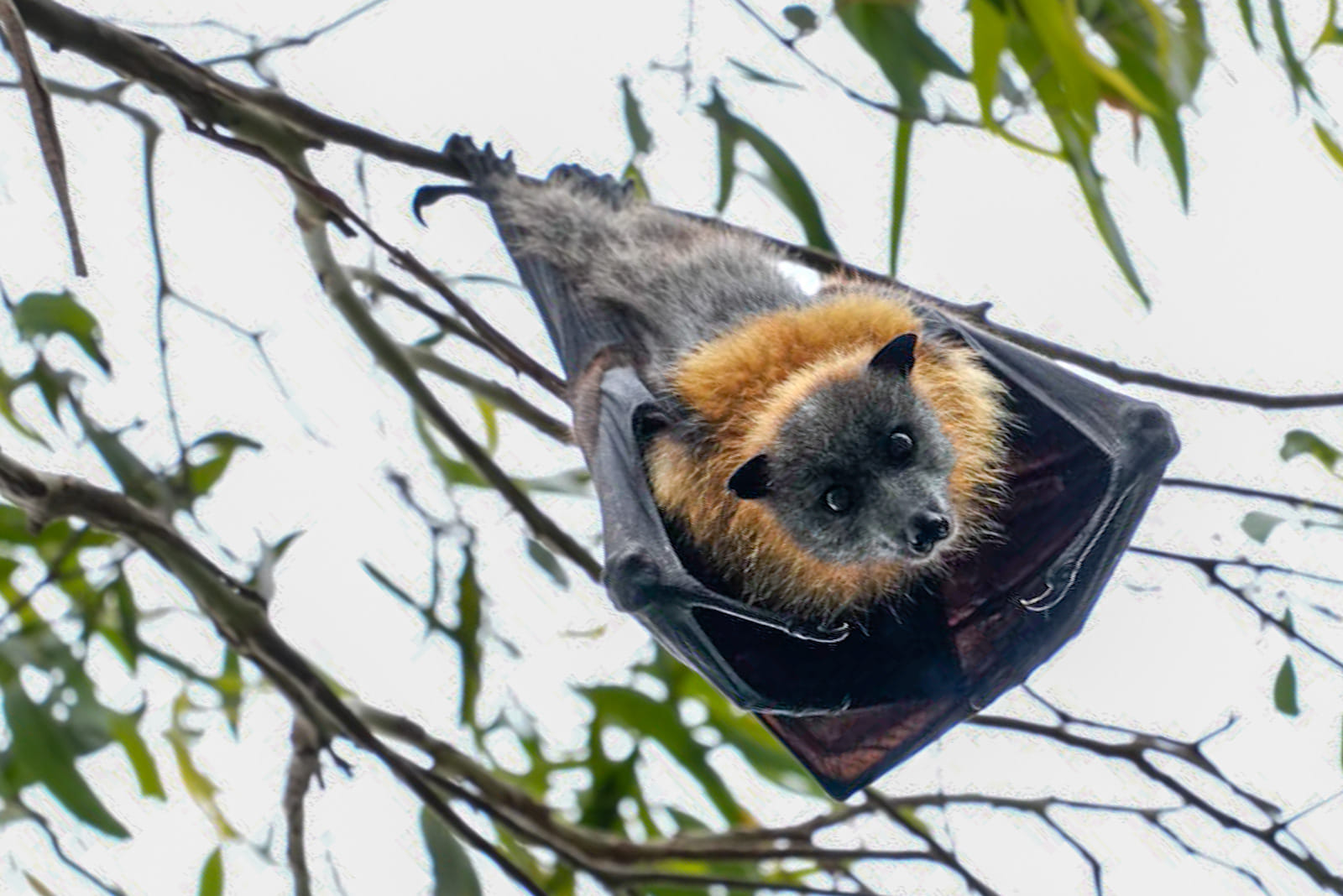 Australien_Fotoreise_709_