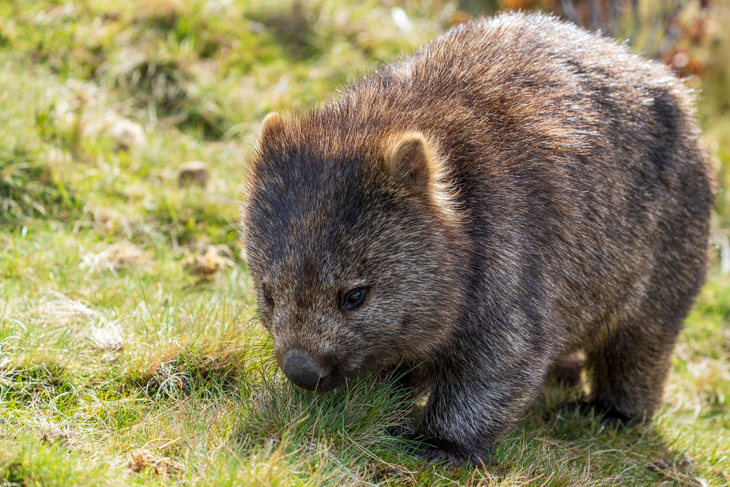 Australien_Fotoreise_712_