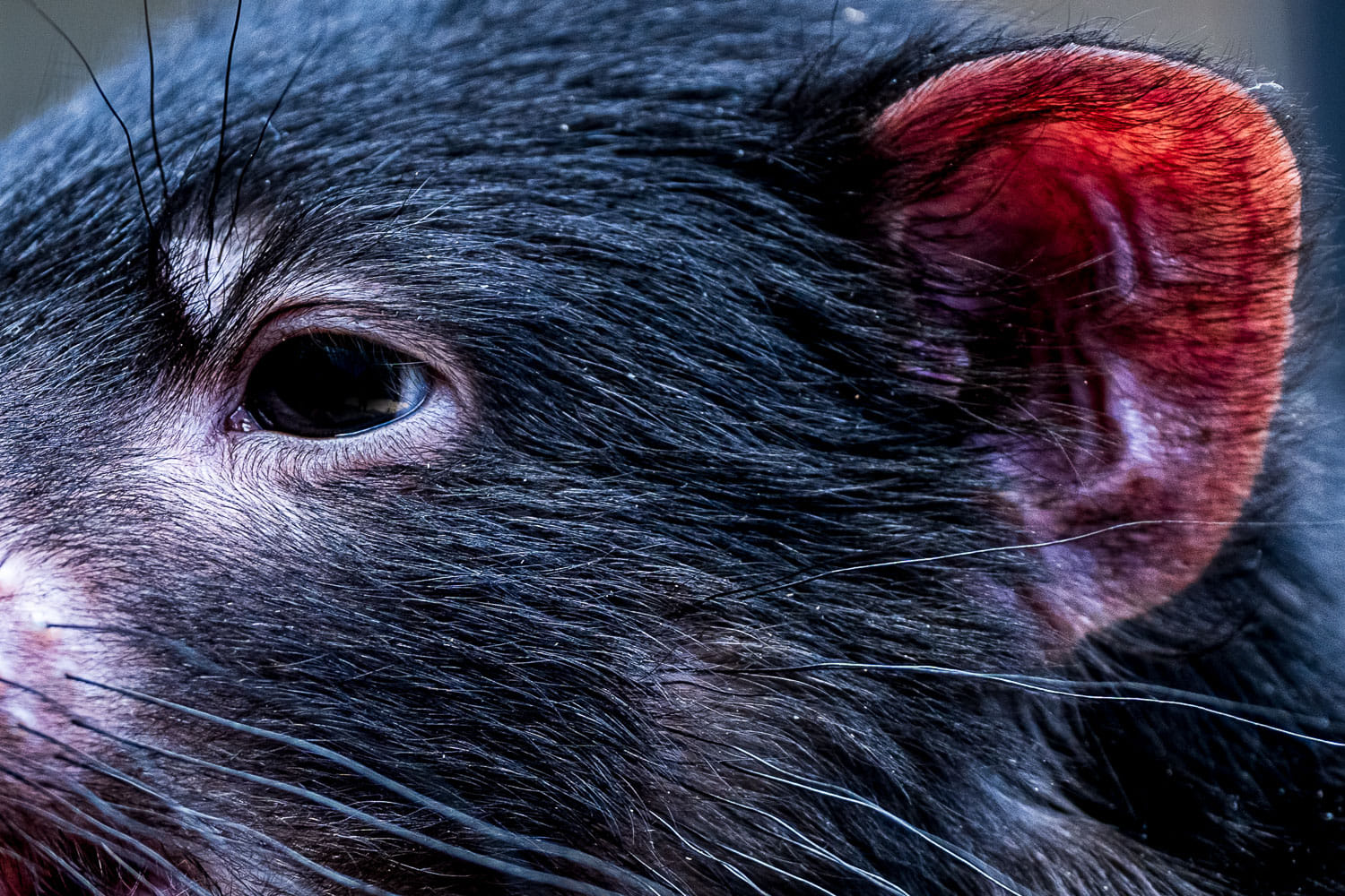 Australien_Fotoreise_713_