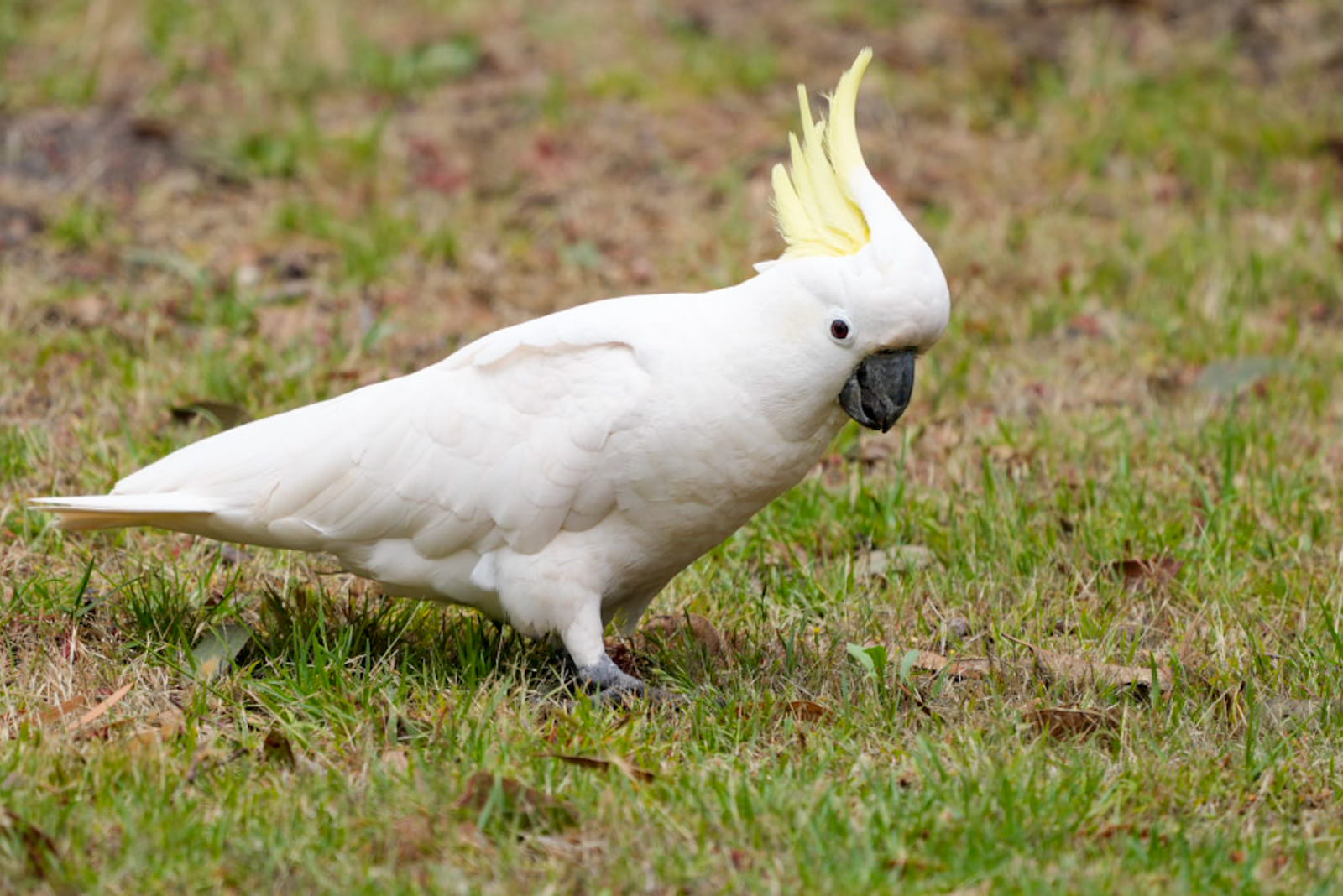 Australien_Fotoreise_719_