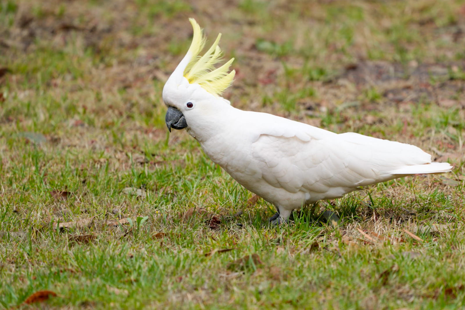 Australien_Fotoreise_720_