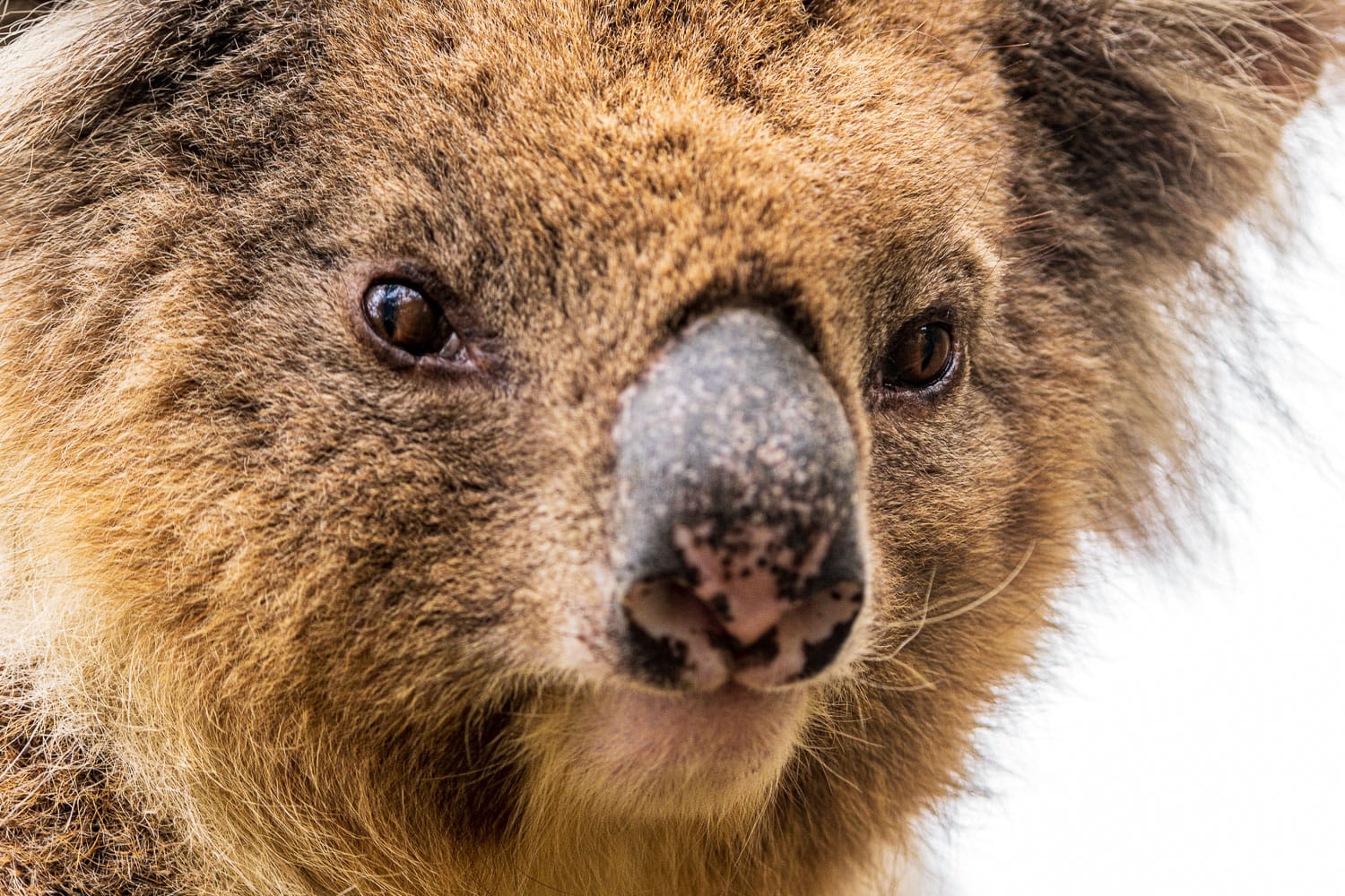 Australien_Fotoreise_722_