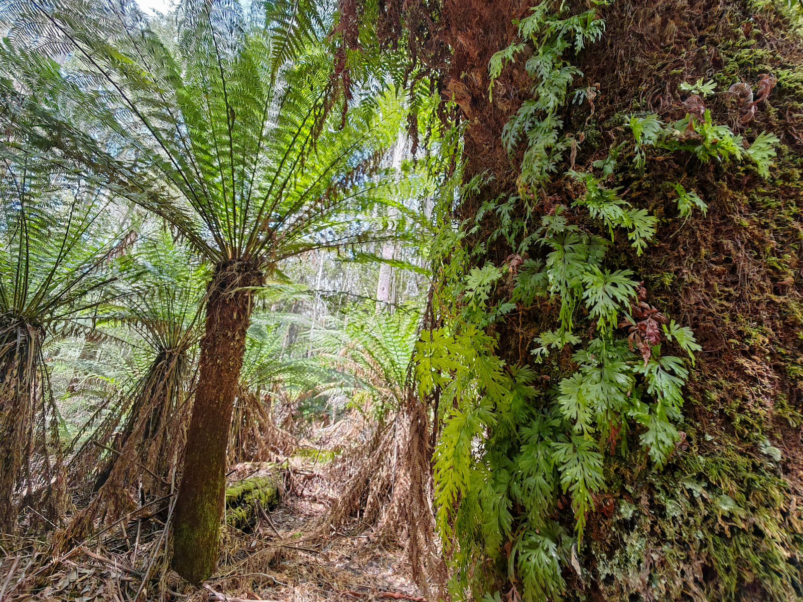 Australien_Fotoreise_724_