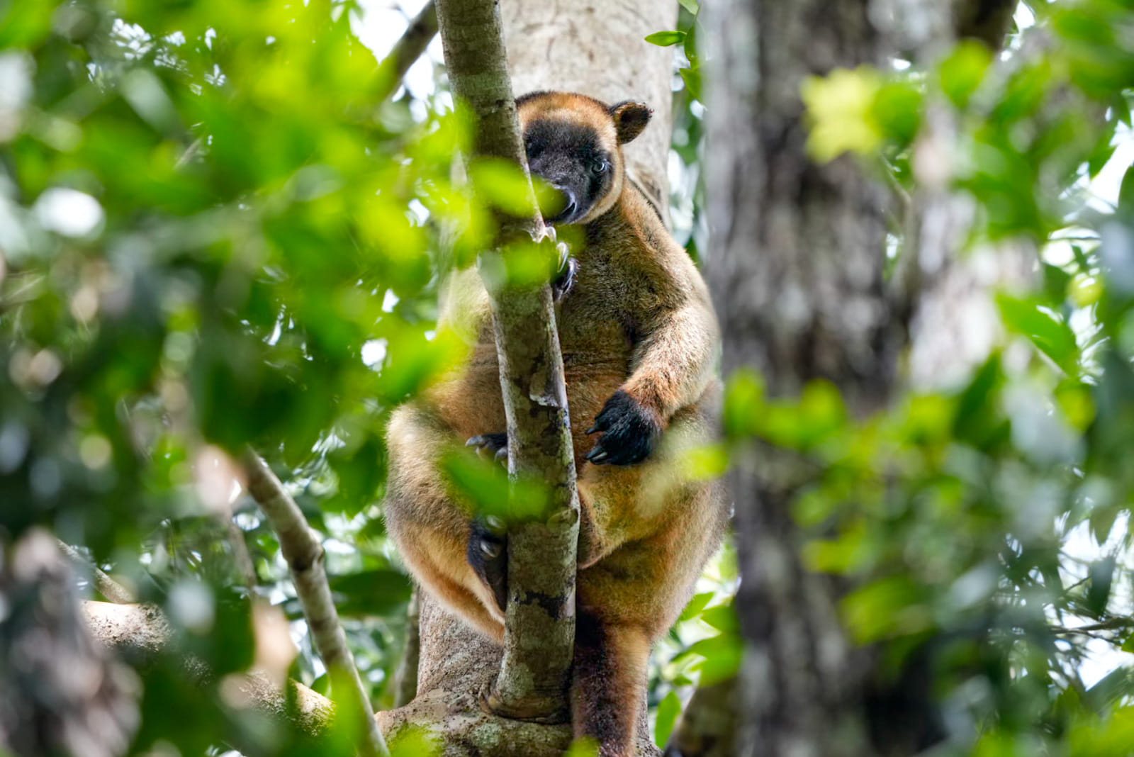 Australien_Fotoreise_725_