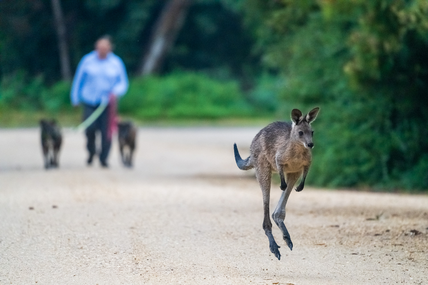 Australien_Fotoreise_727_