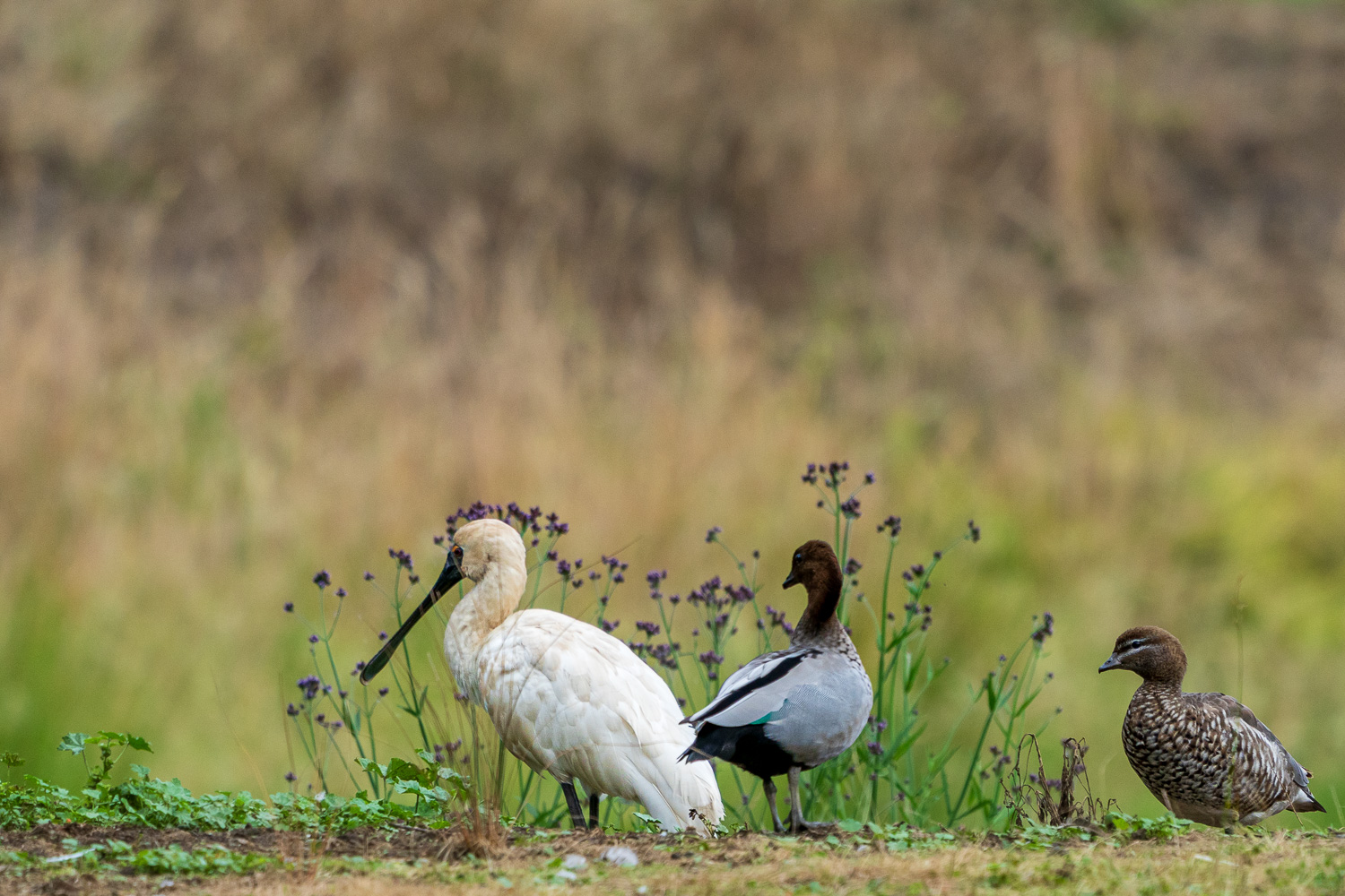 Australien_Fotoreise_735_