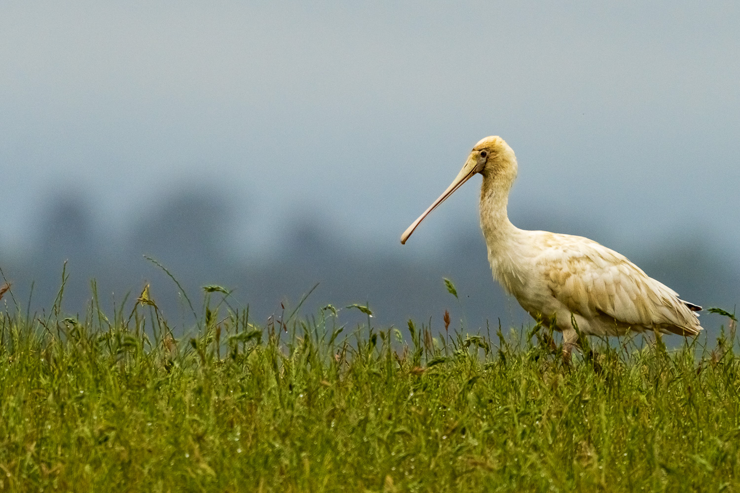 Australien_Fotoreise_738_