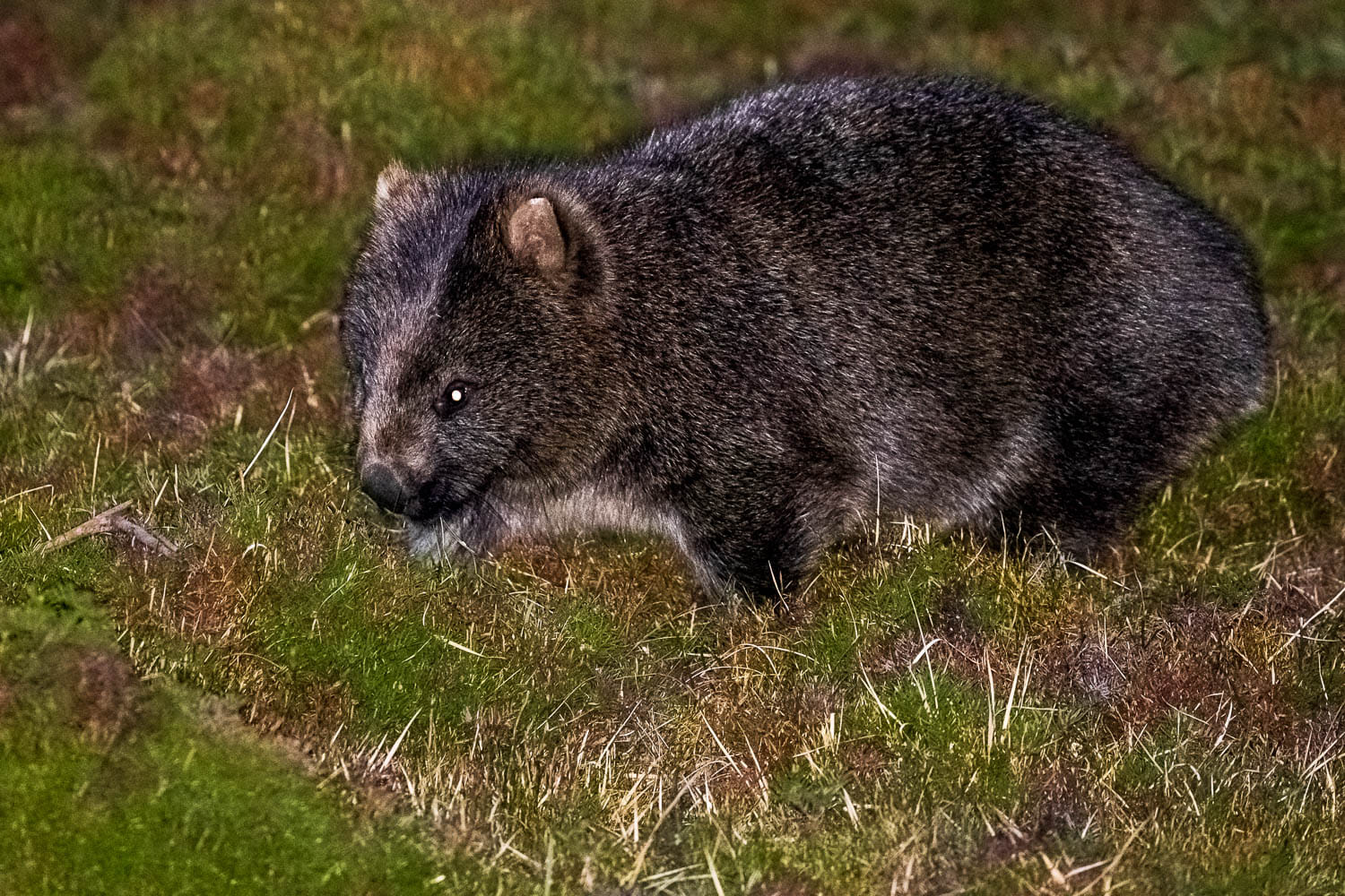 Australien_Fotoreise_741_