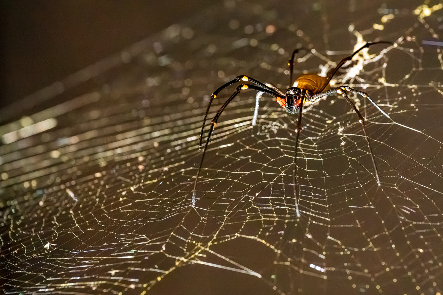 Australien_Fotoreise_746_
