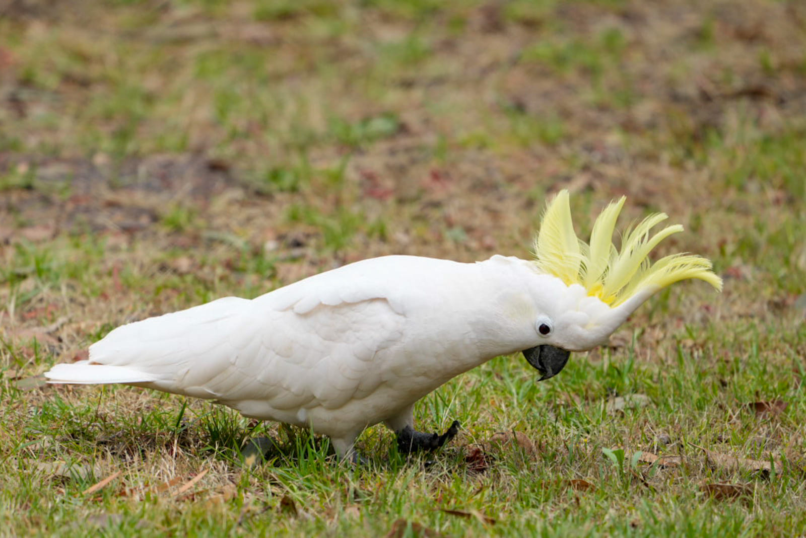 Australien_Fotoreise_748_