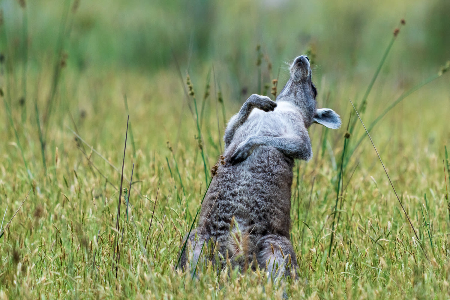 Australien_Fotoreise_749_