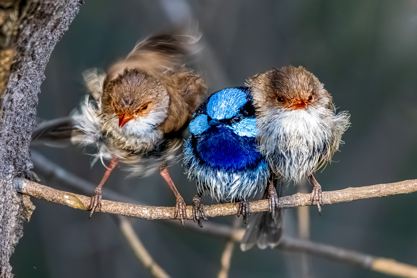 Australien_Fotosafari_R527036-Fotoreise