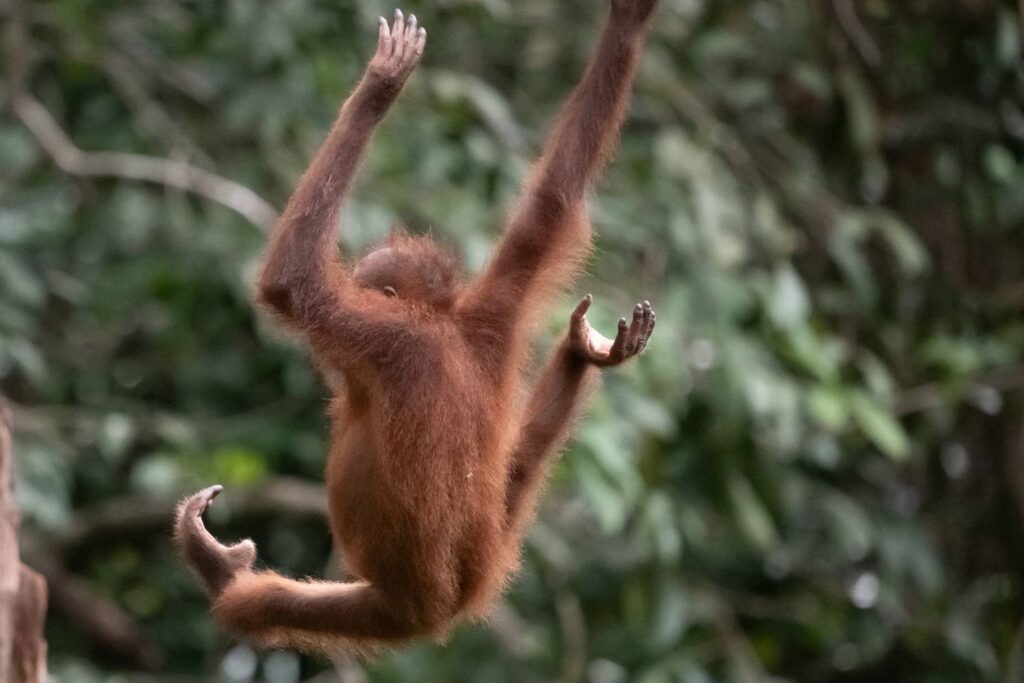 Borneo Fotoreise Fotoworkshop 10