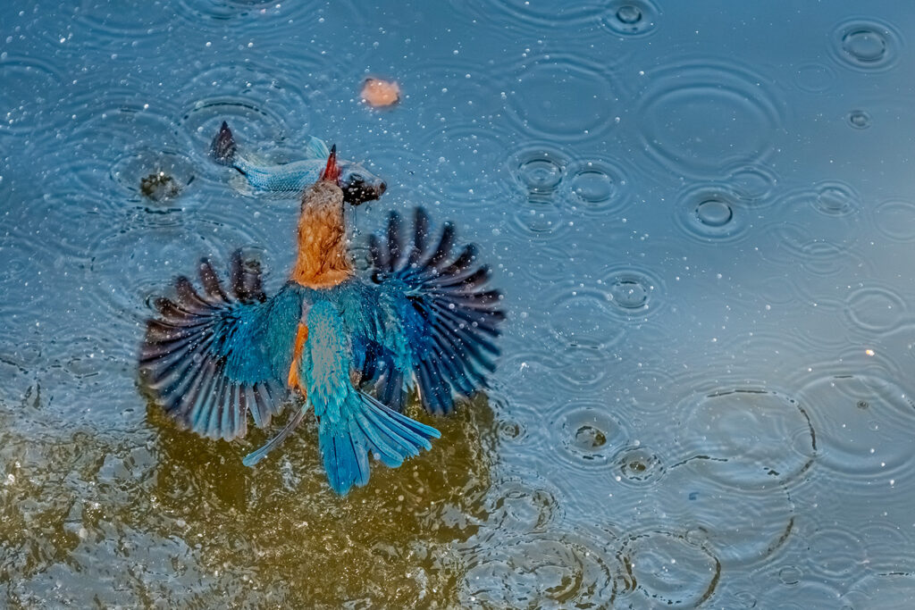 Fotosafari-Borneo-Fotoreise-701_