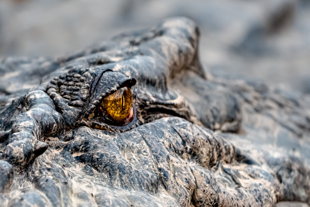 Fotosafari-Borneo-Fotoreise-757_